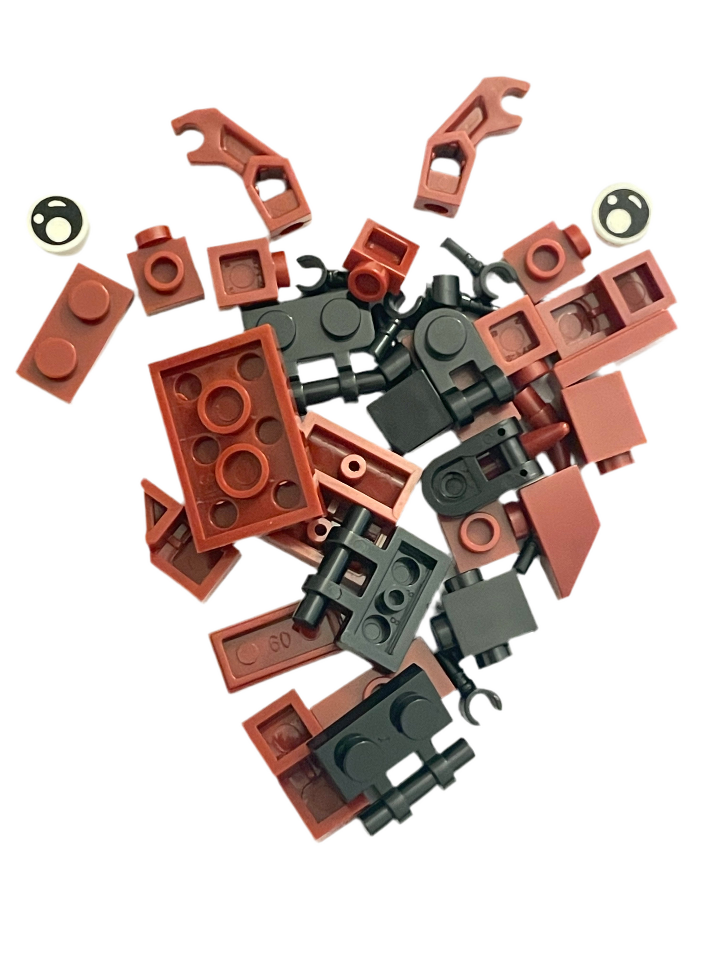 Bugs4Fun: The Stag Beetle