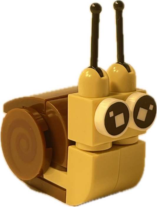 Bugs4Fun: The Snail