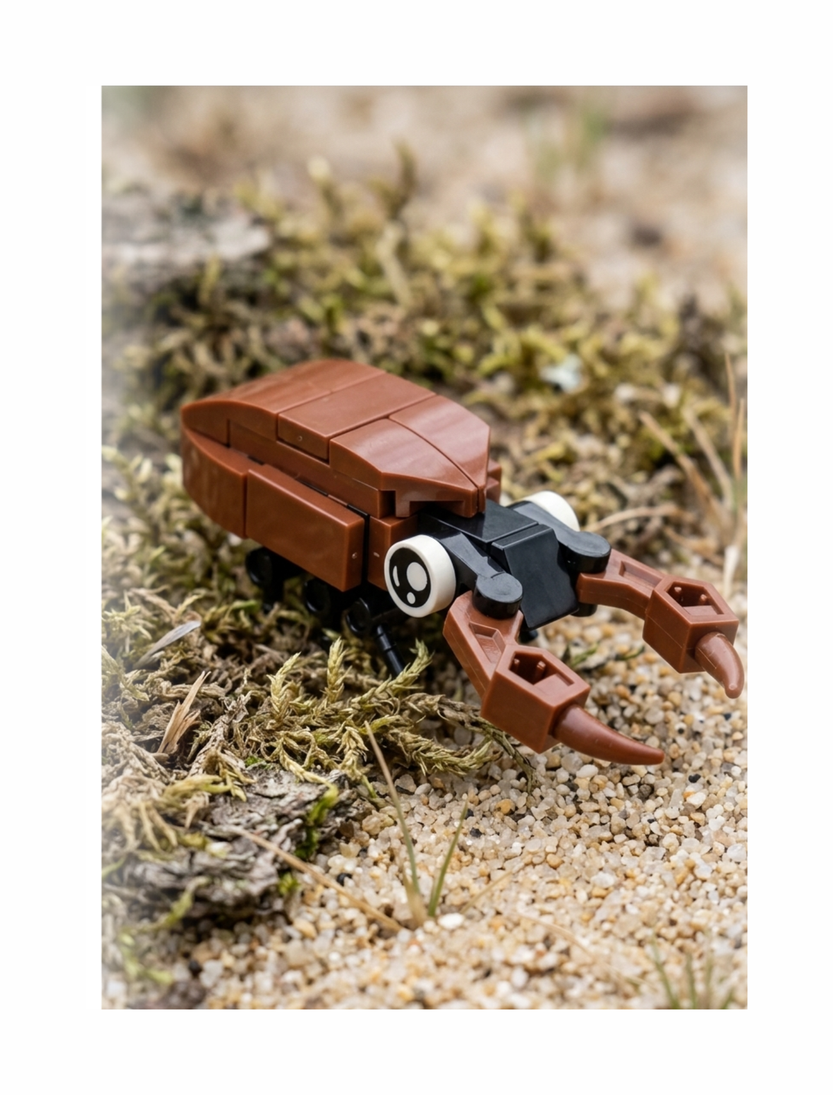 Build-A-Bug: by Bugs4Fun • Special Selection • (Random) Mystery Pick - Insect Brick Kit