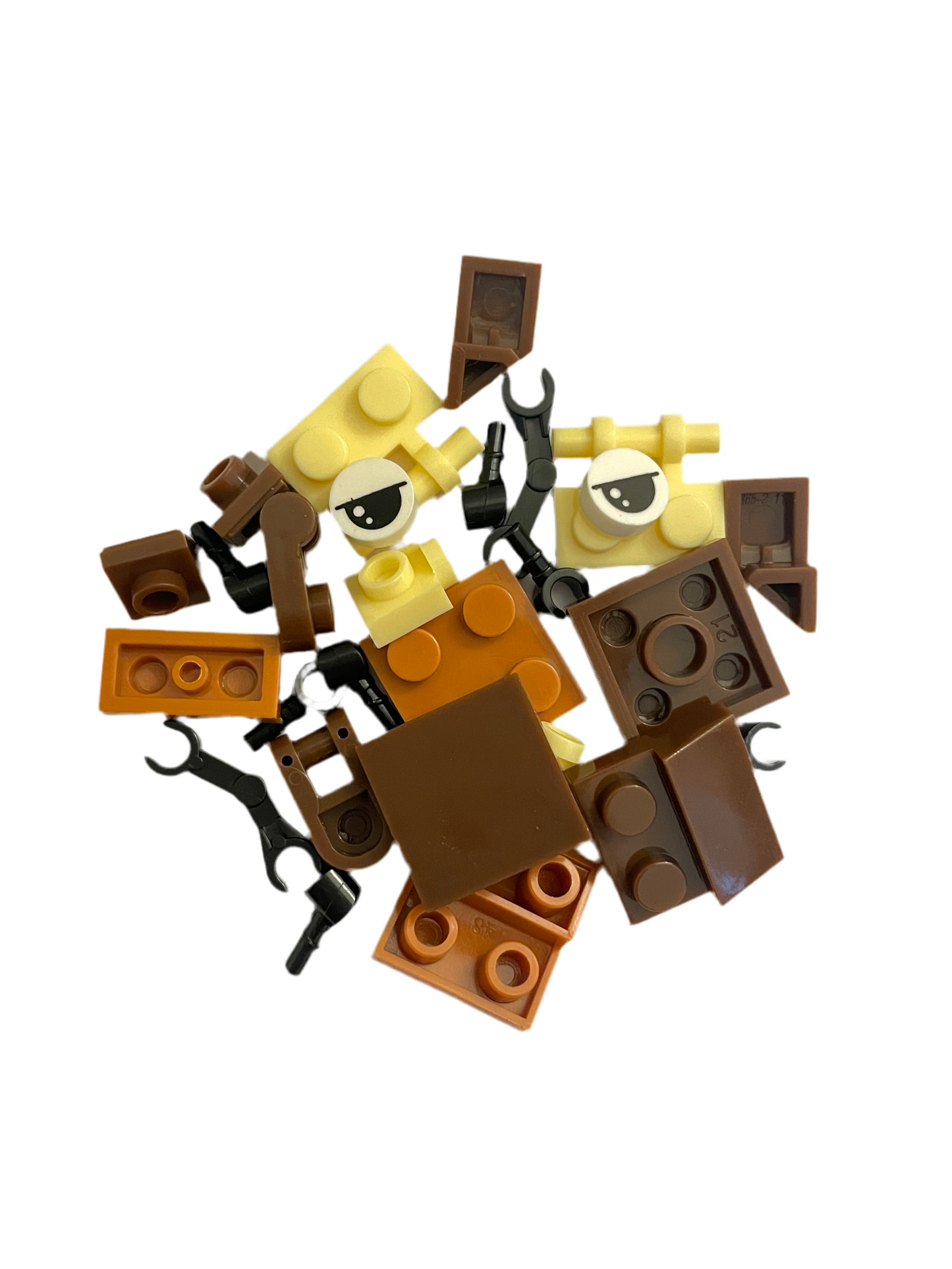 Bugs4Fun: The Cockroach