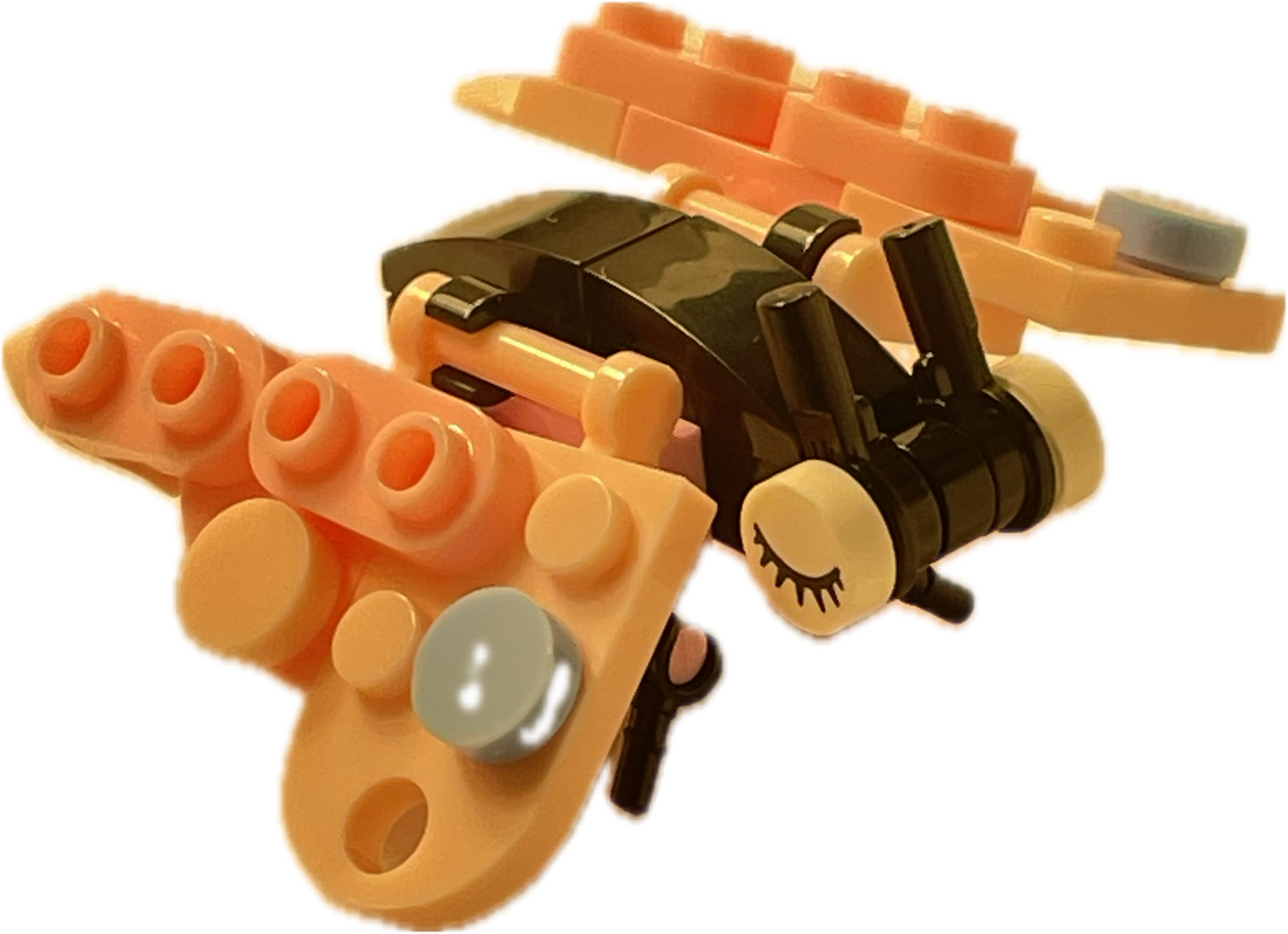 Bugs4Fun: The Butterfly