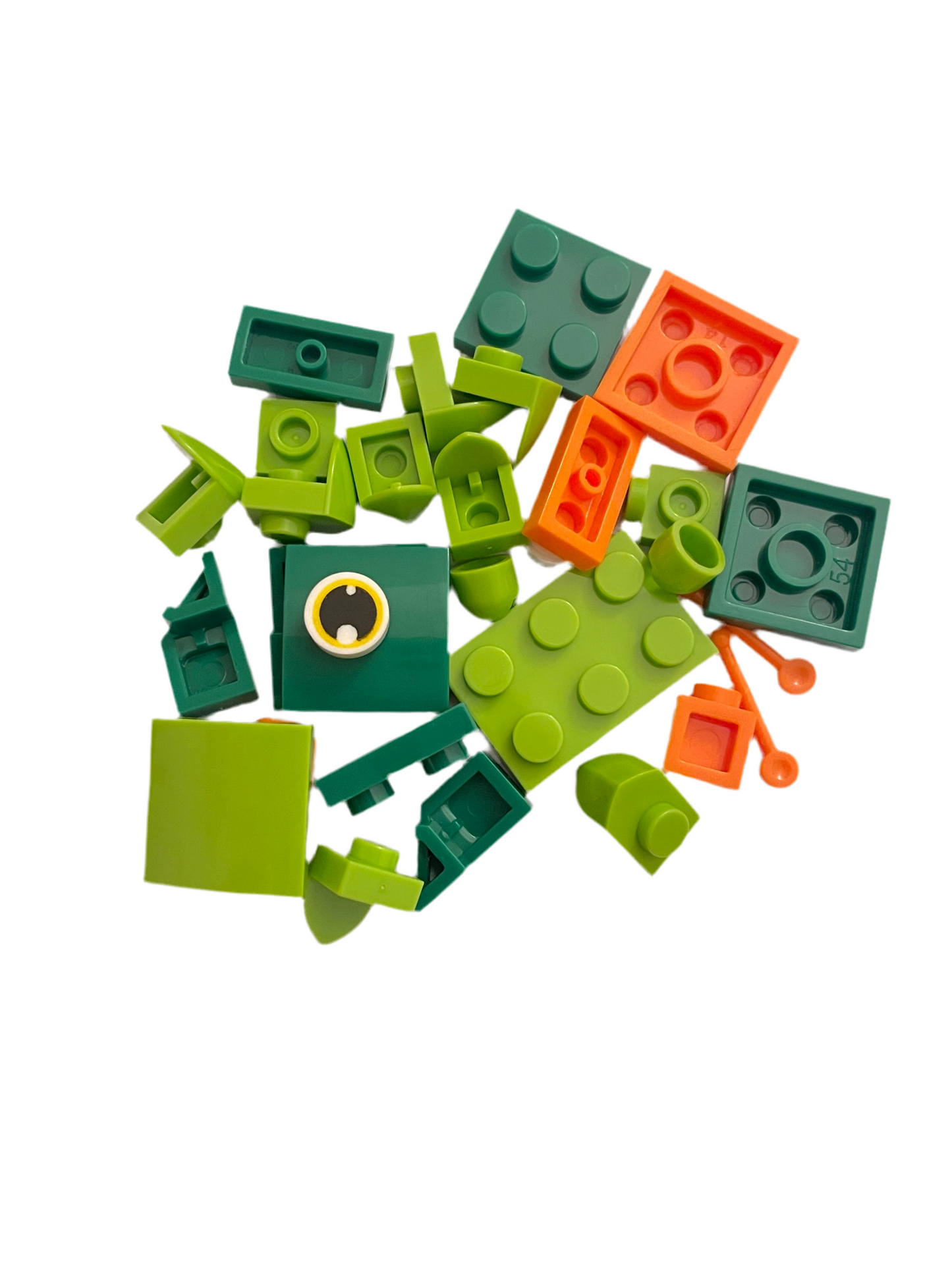 Bugs4Fun: The Caterpillar