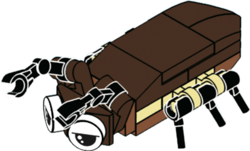 Bugs4Fun: The Cockroach