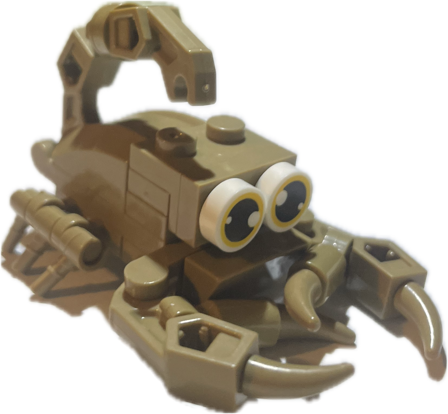 Bugs4Fun: The Scorpion