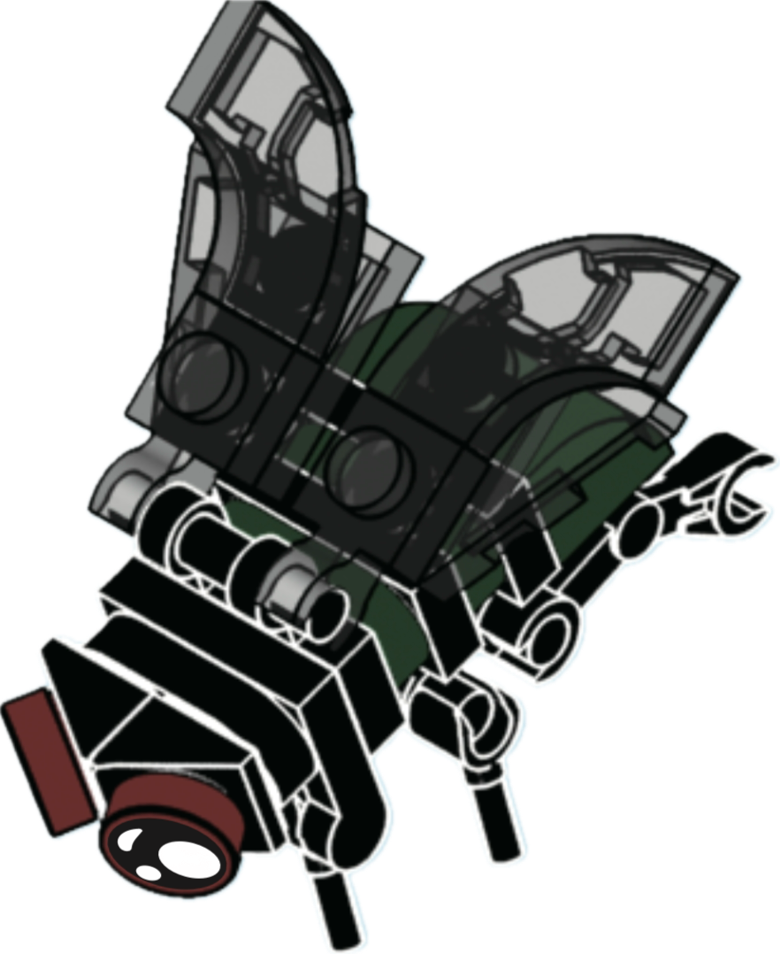 Bugs4Fun: The Fly