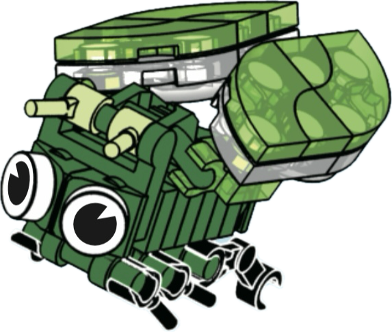 Bugs4Fun: The Cicada