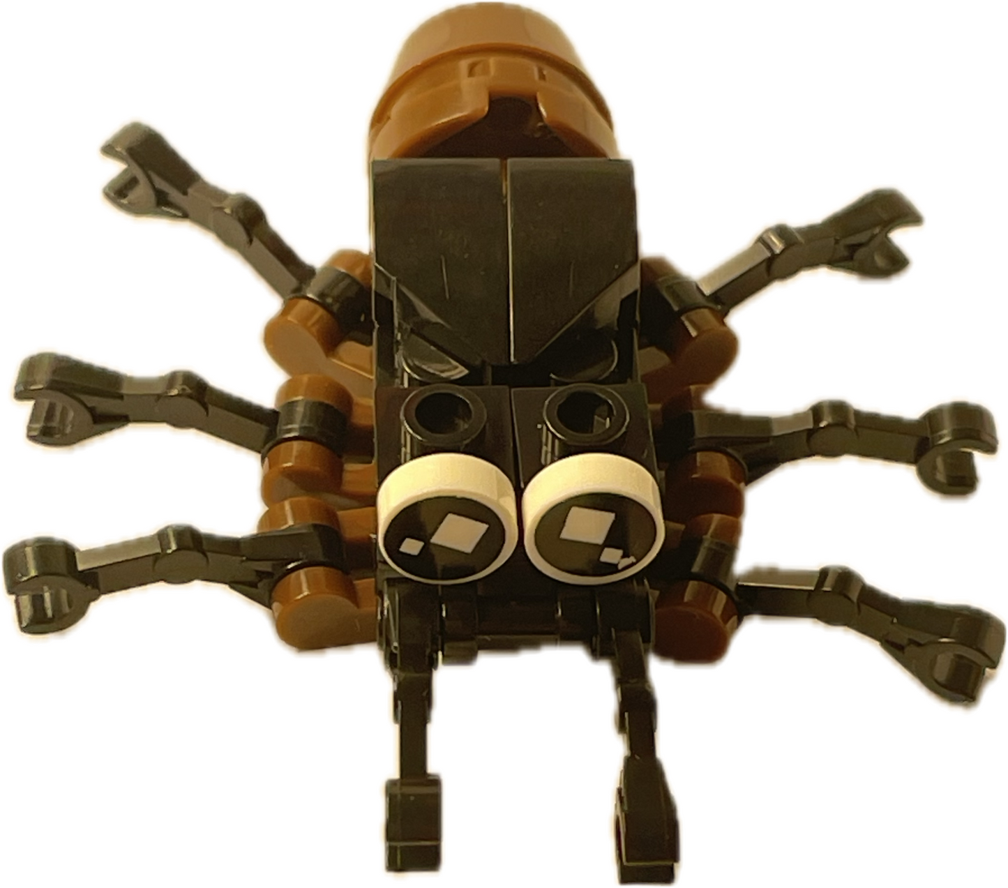 Bugs4Fun: The Spider