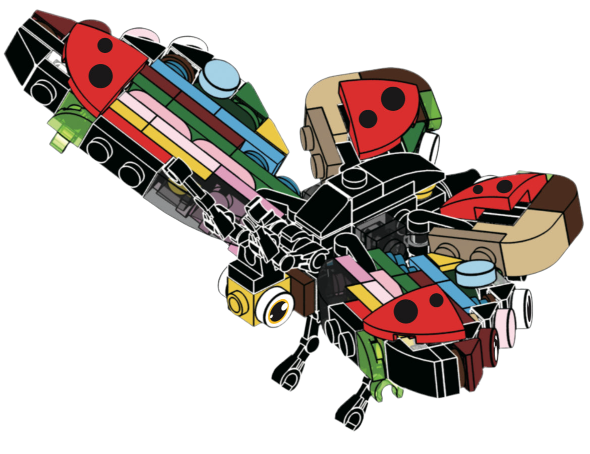 Large Build | Butterfly / Chameleon