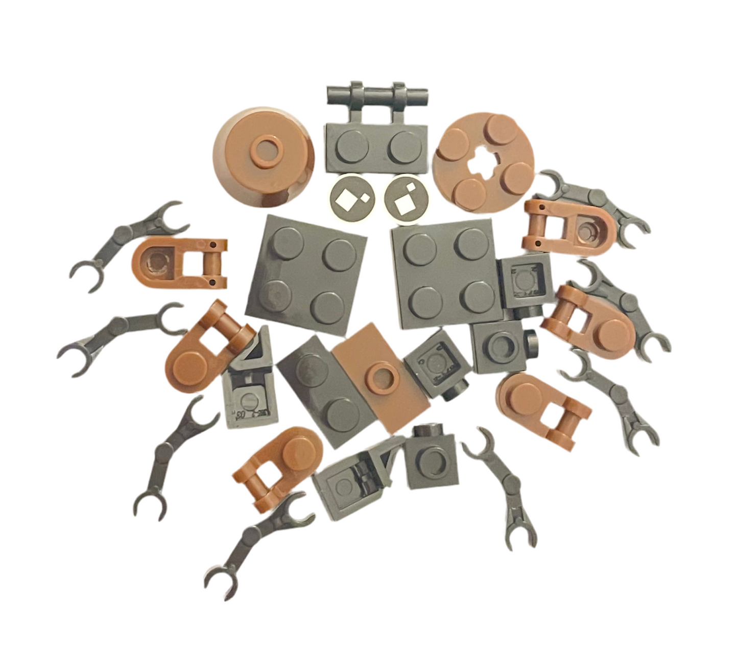 Bugs4Fun: The Spider