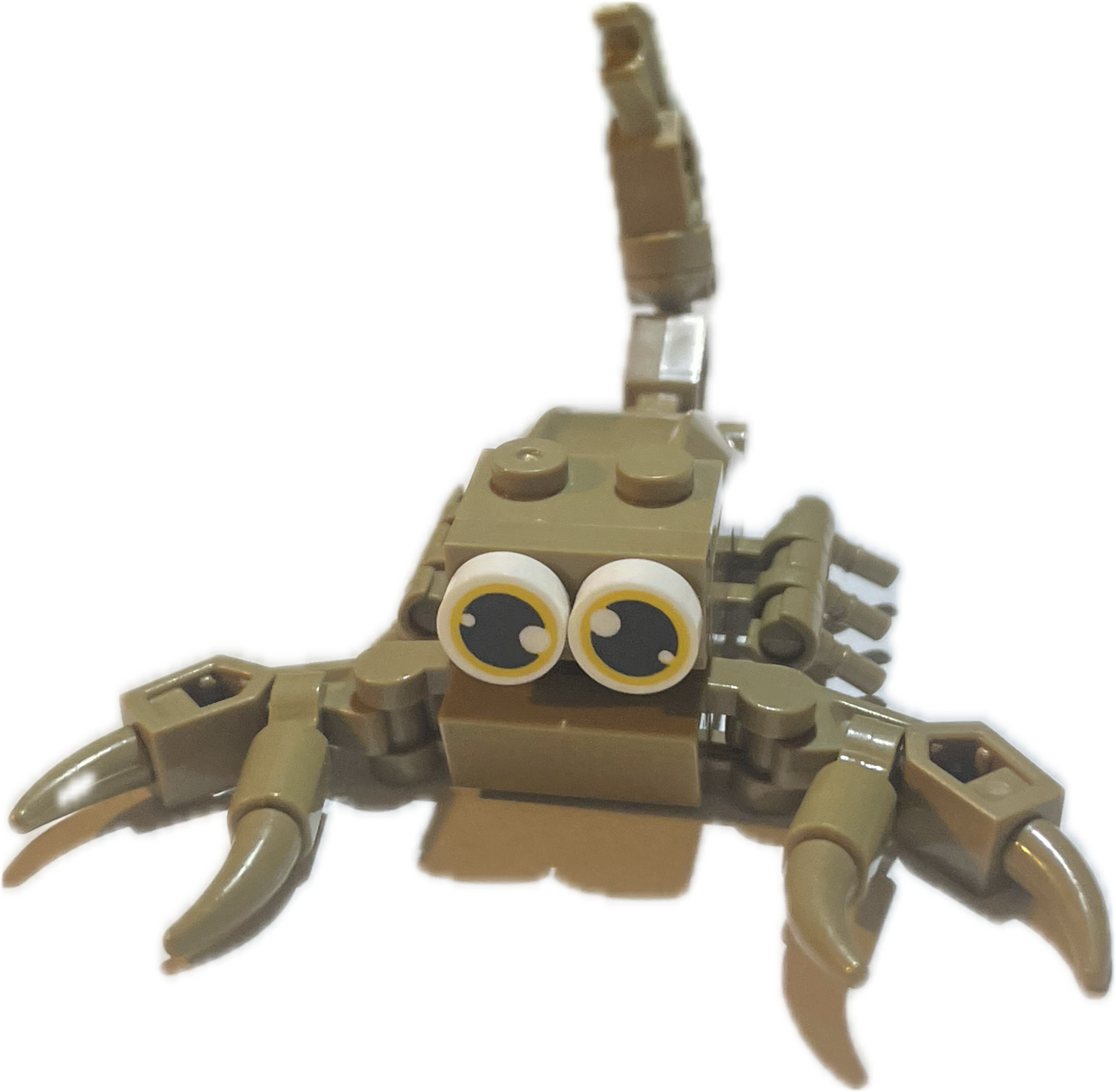 Bugs4Fun: The Scorpion