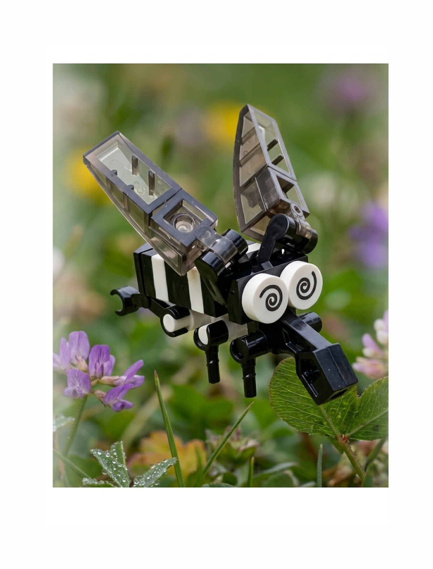 Build-A-Bug: Winged Wonders