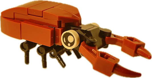 Bugs4Fun: The Stag Beetle