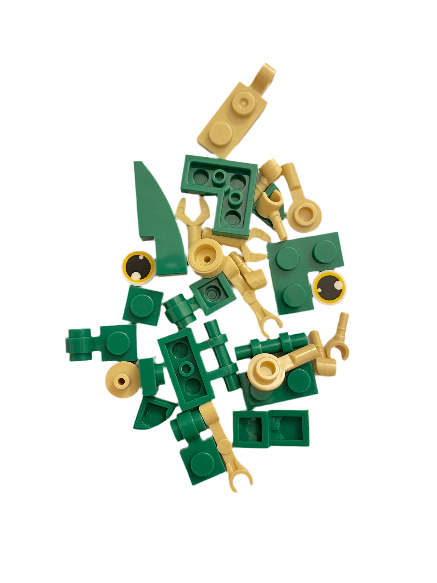 Bugs4Fun: The Locust