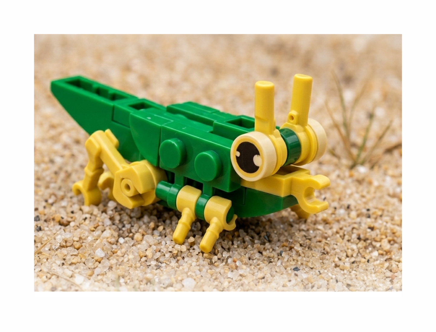 Build-A-Bug: Apex Arthropods