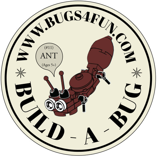 Bugs4Fun: The Ant