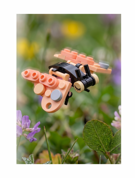 Bugs4Fun: The Butterfly