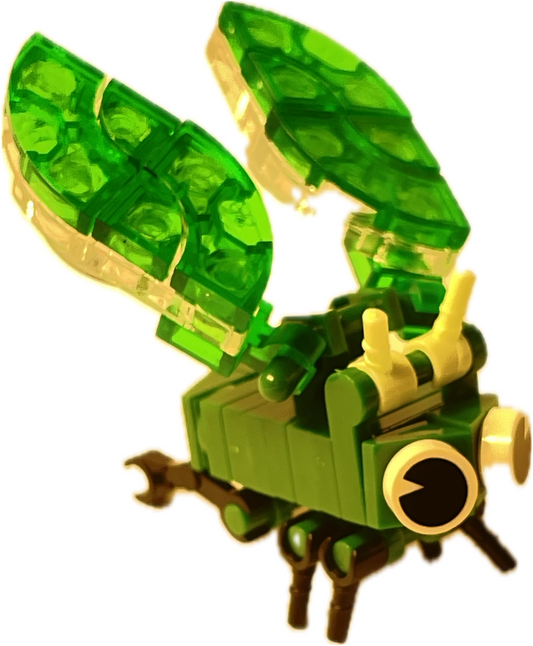 Bugs4Fun: The Cicada