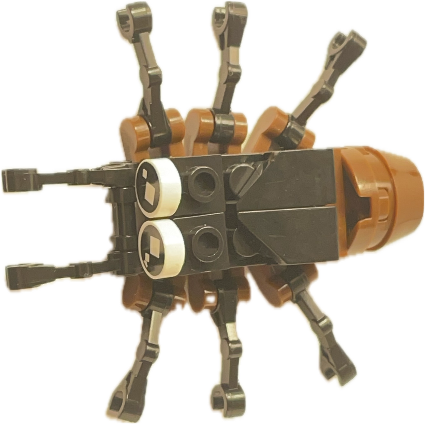 Bugs4Fun: The Spider