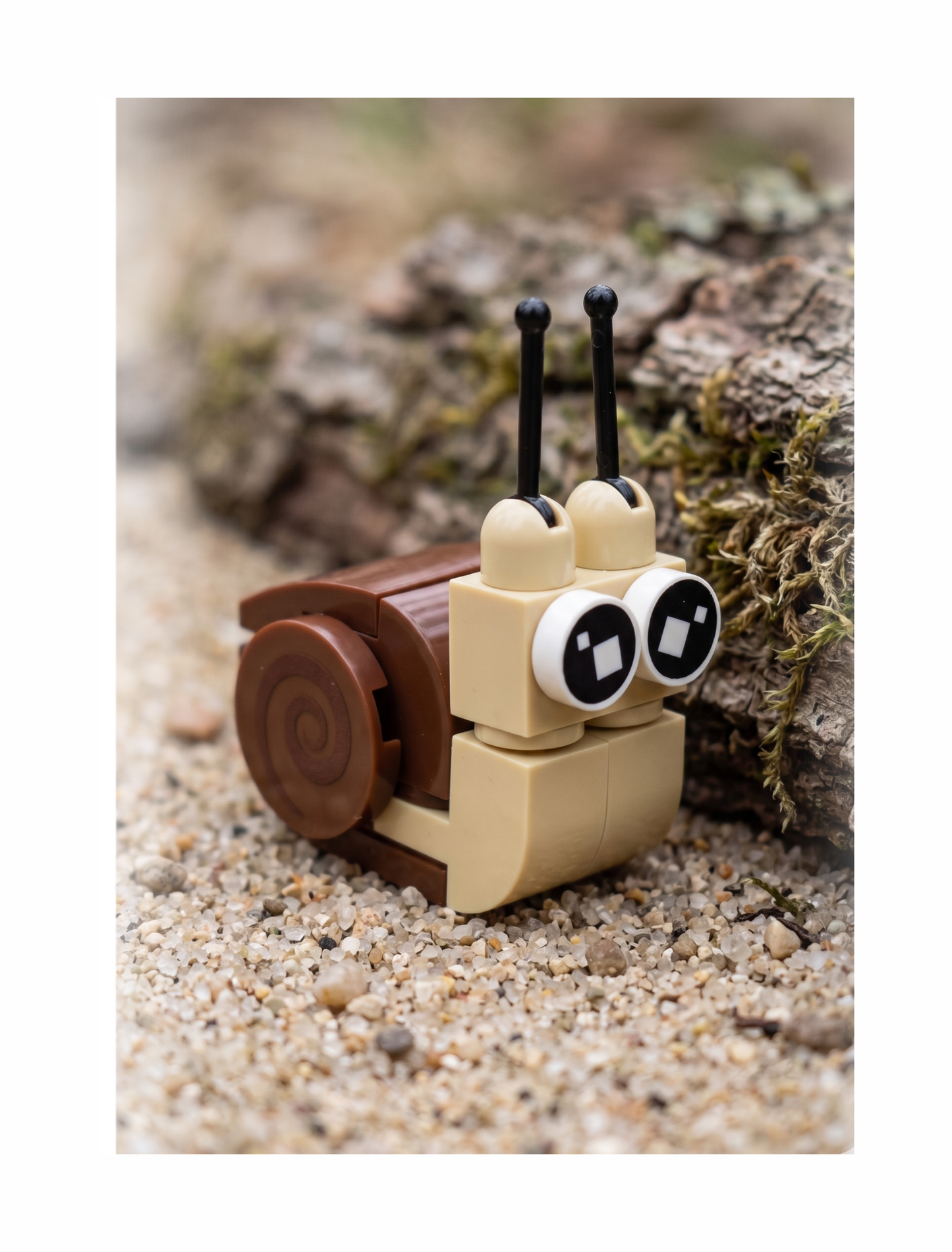 Build-A-Bug: Garden Guardians