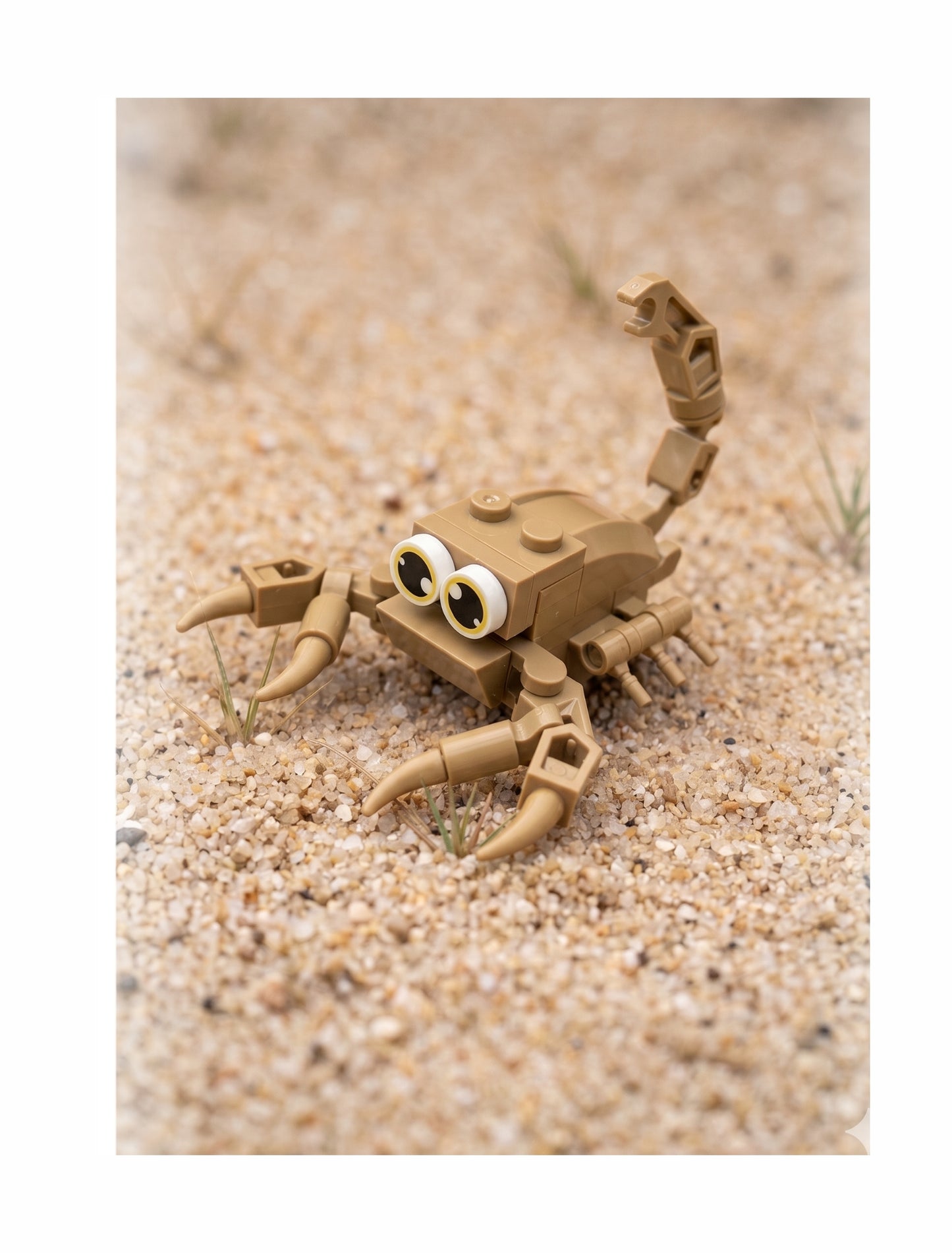 Build-A-Bug: Nighttime Crawlers