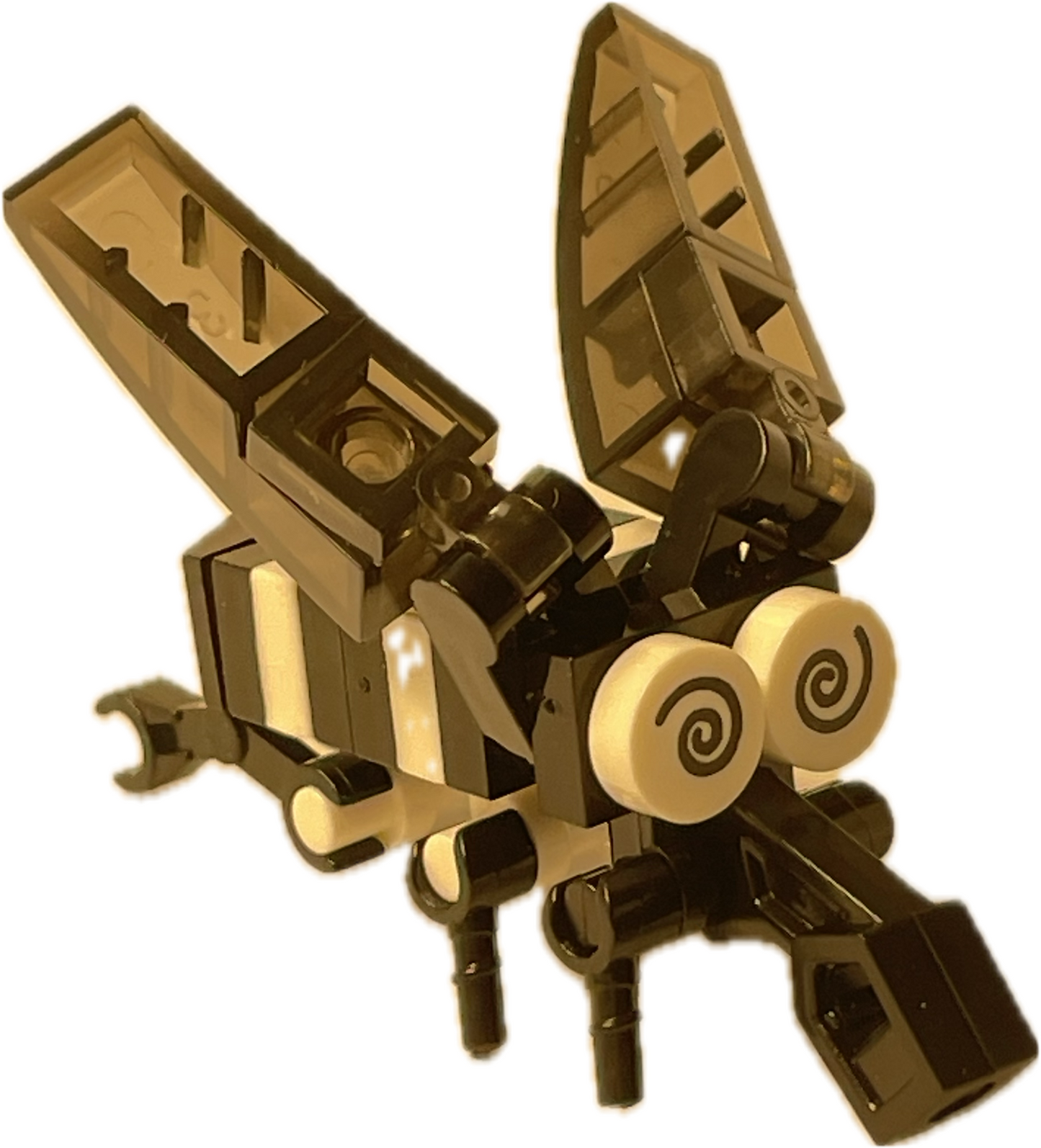 Bugs4Fun: The Mosquito