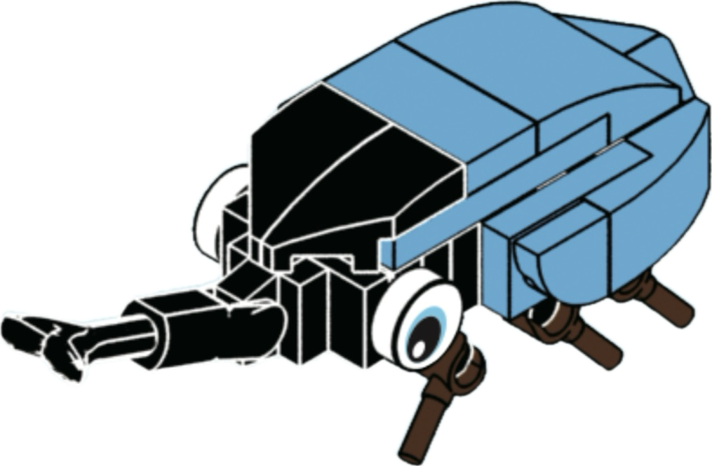 Bugs4Fun: The Rhino Beetle