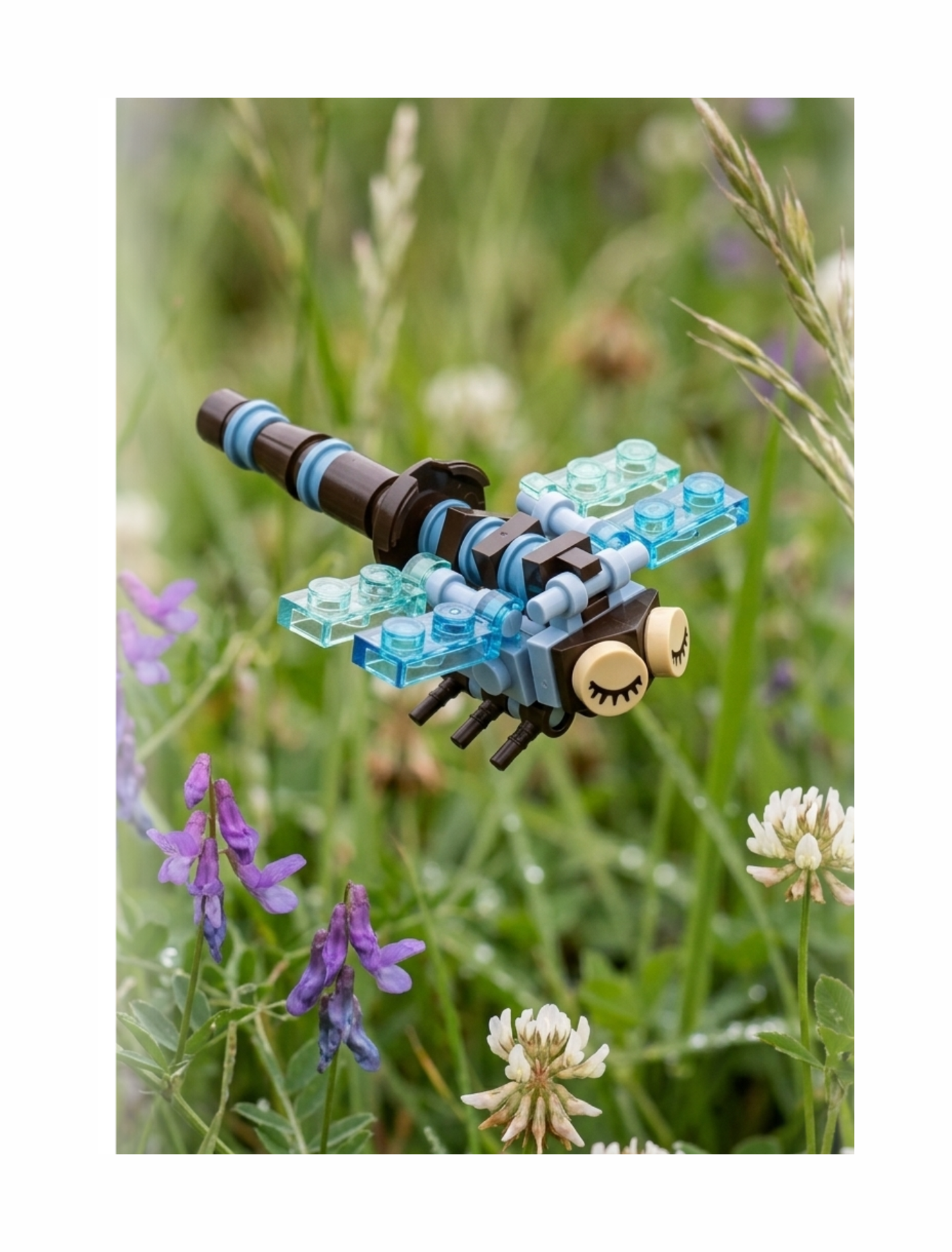 Build-A-Bug: Winged Wonders