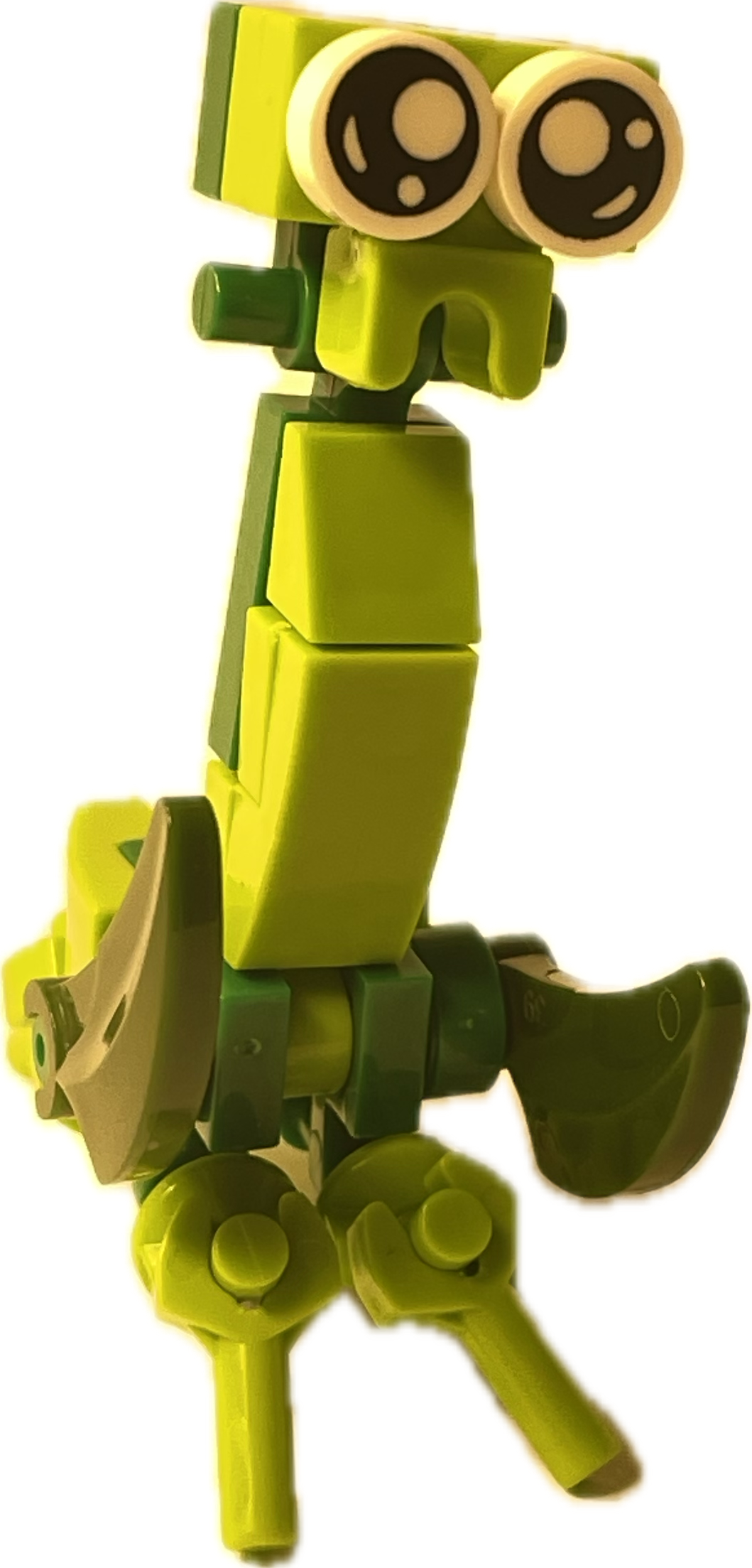 Bugs4Fun: The Praying Mantis