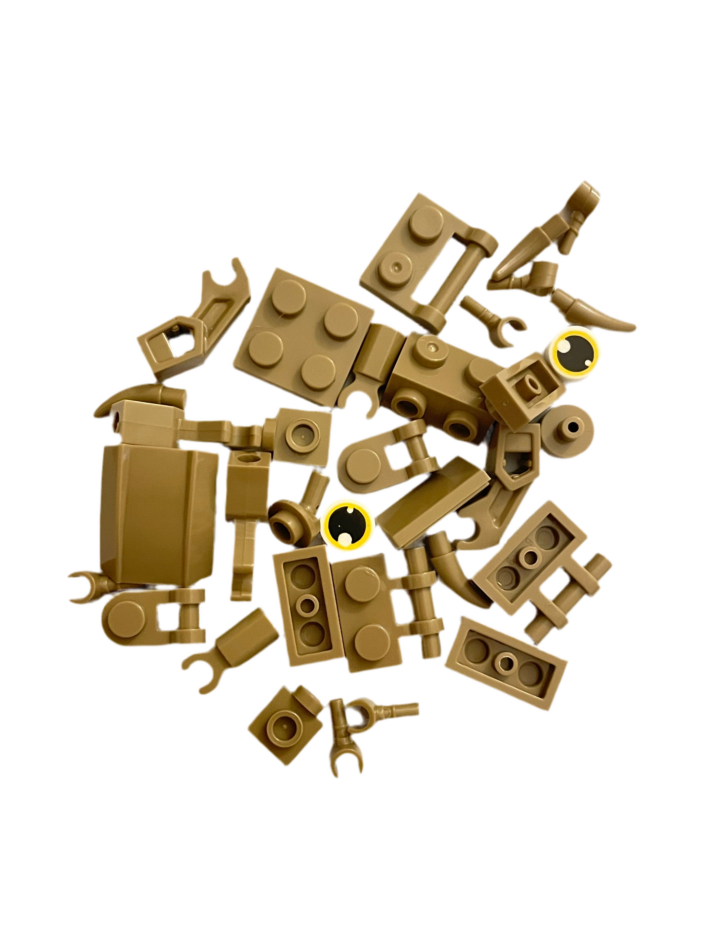 Bugs4Fun: The Scorpion