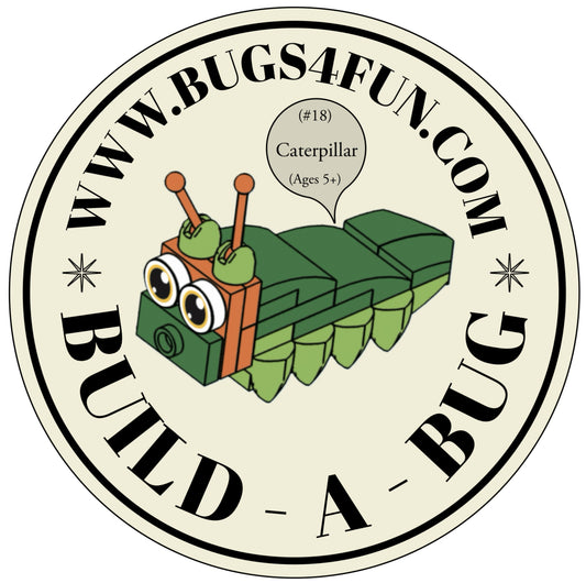 Bugs4Fun: The Caterpillar