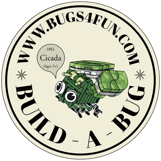Bugs4Fun: The Cicada