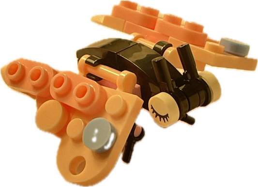 Bugs4Fun: The Butterfly