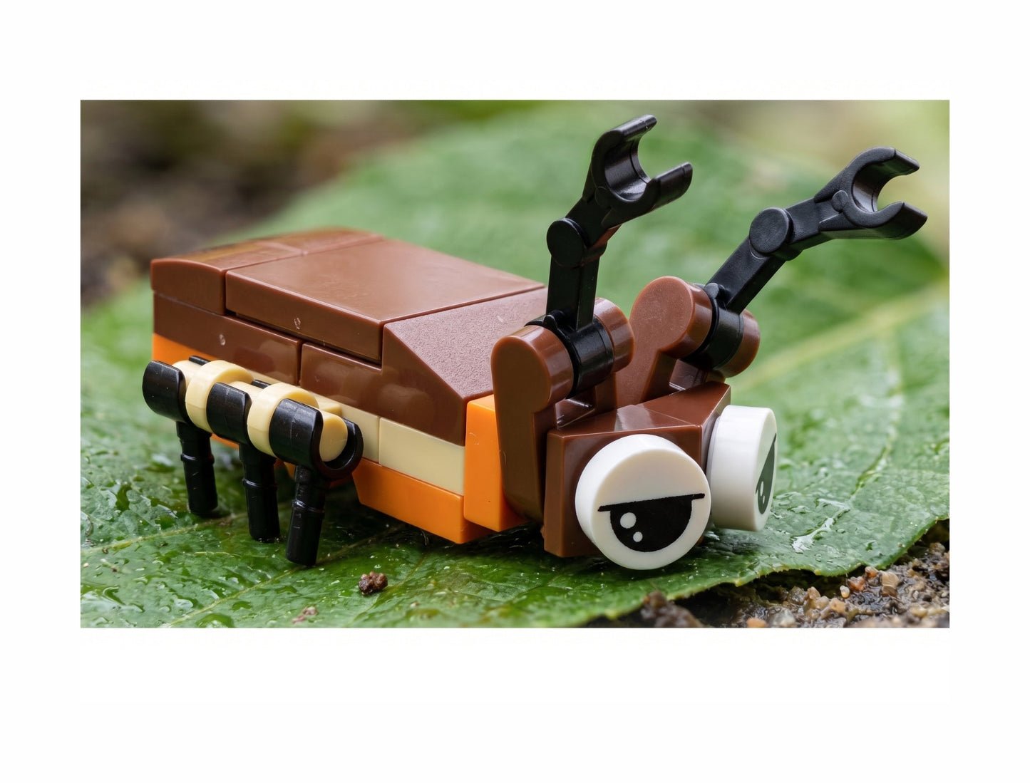 Build-A-Bug: Nighttime Crawlers