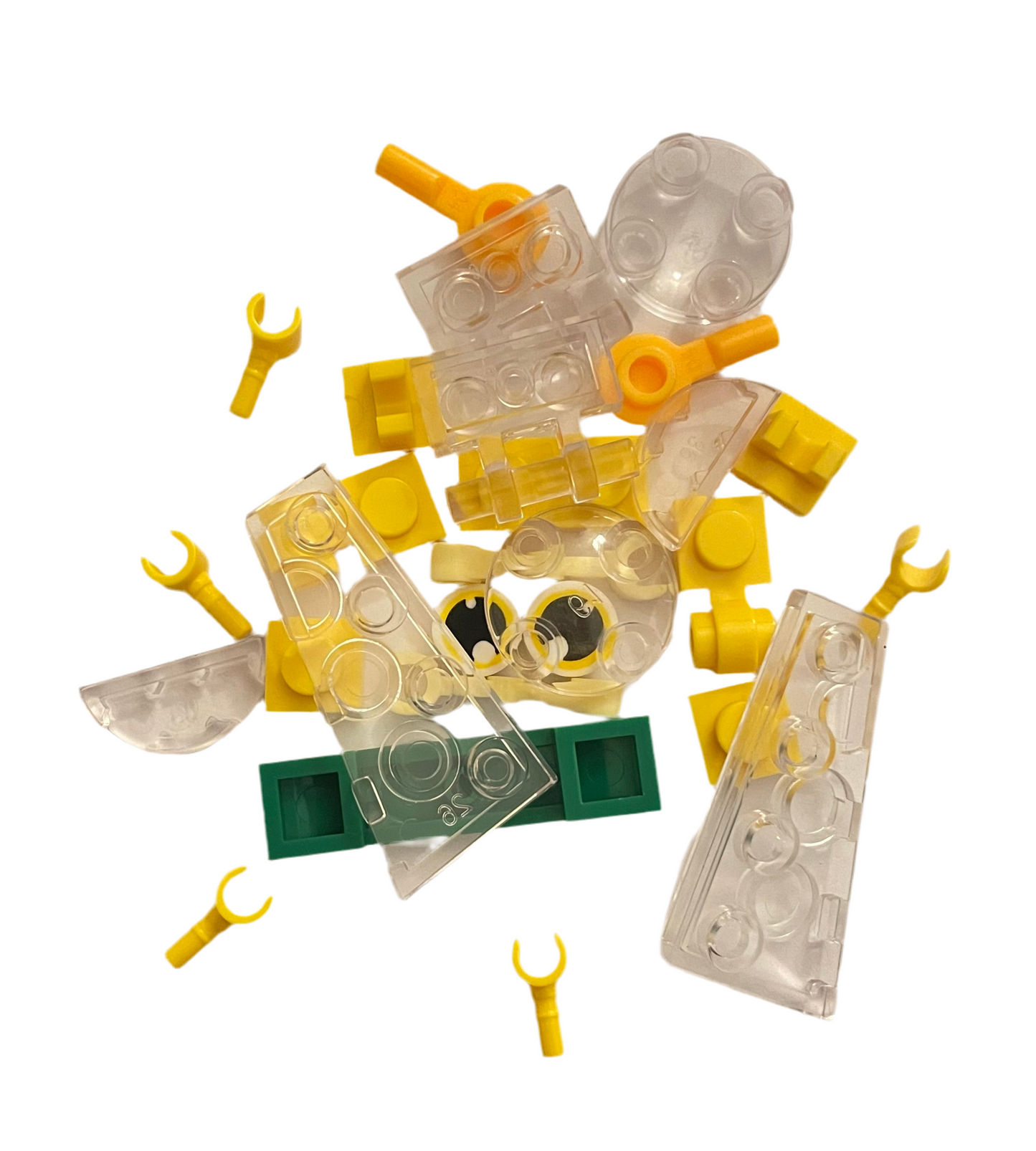 Bugs4Fun: The Lacewing