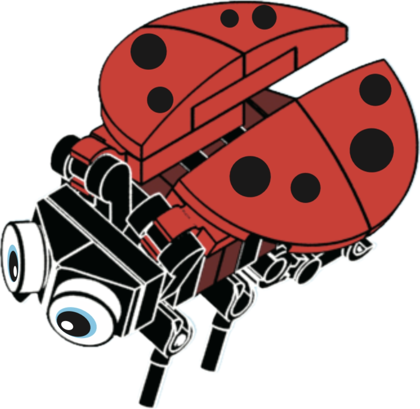 Bugs4Fun: The Ladybug