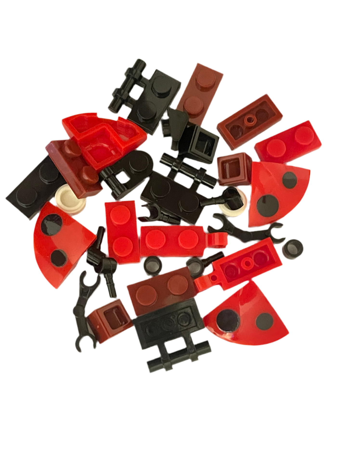 Bugs4Fun: The Ladybug