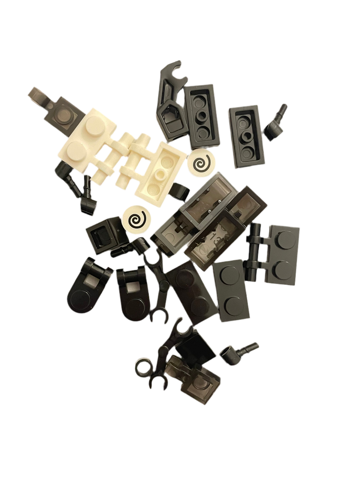 Bugs4Fun: The Mosquito