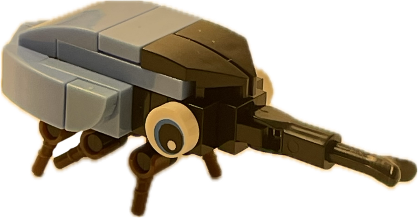Bugs4Fun: The Rhino Beetle