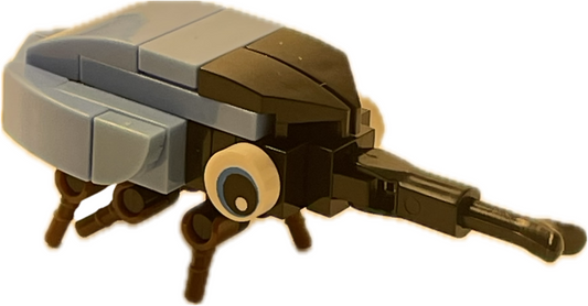Bugs4Fun: The Rhino Beetle