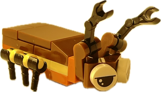 Bugs4Fun: The Cockroach
