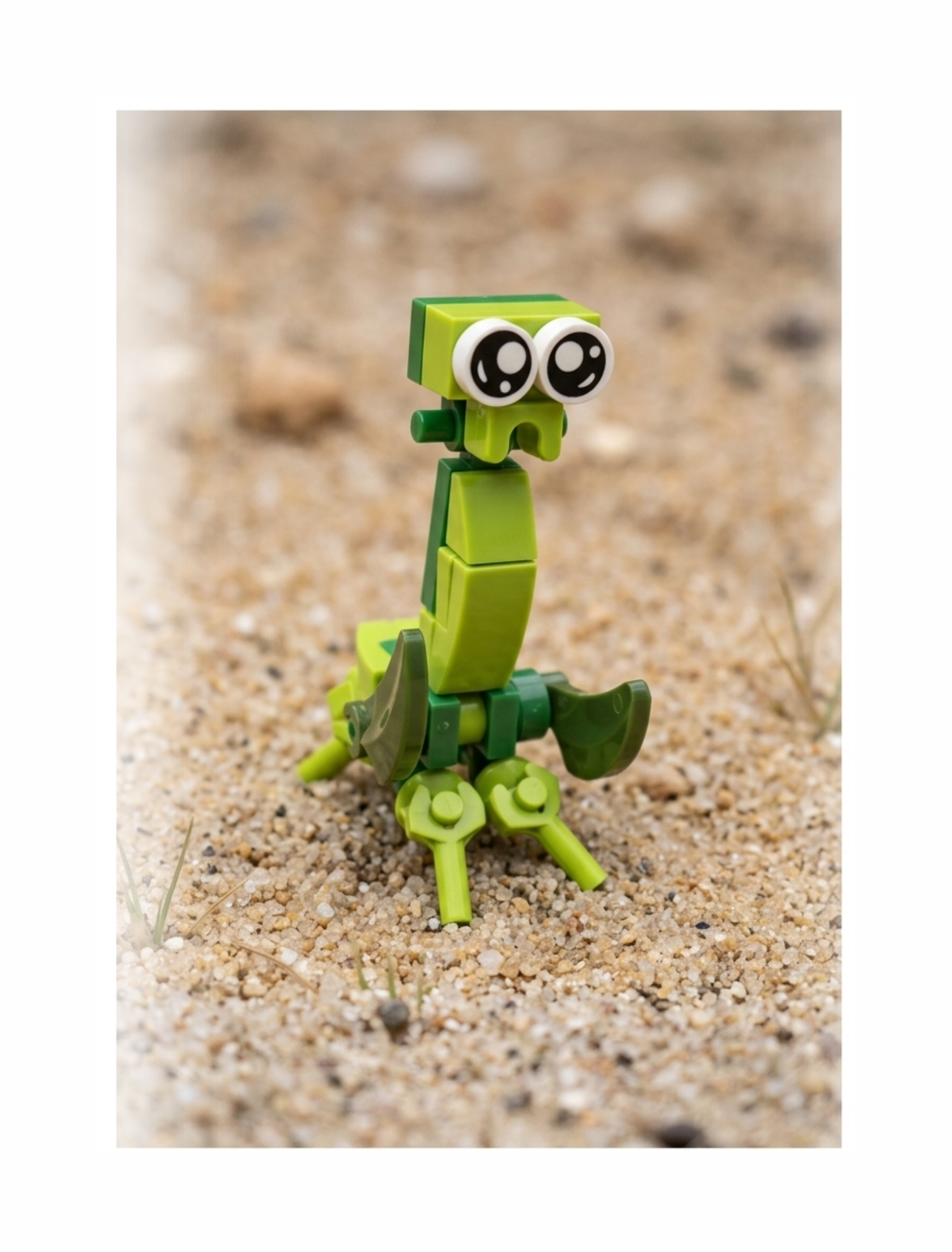 Build-A-Bug: Apex Arthropods