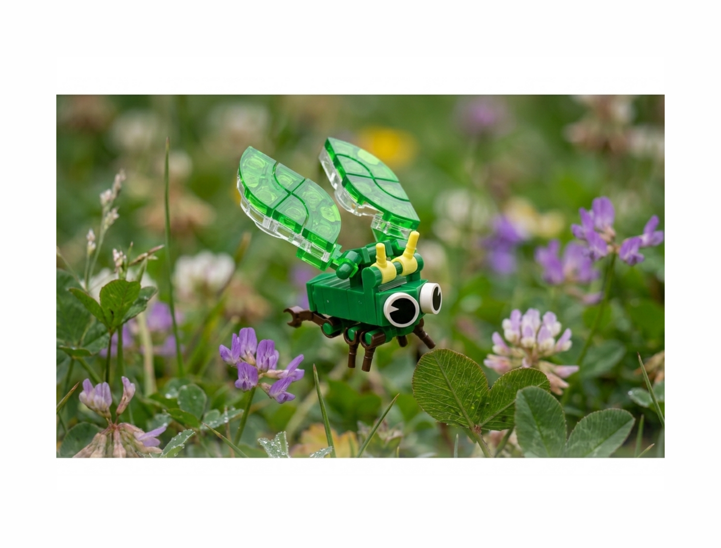 Build-A-Bug: Winged Wonders