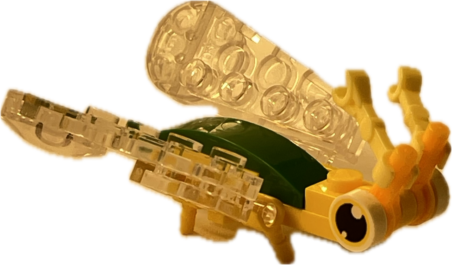 Bugs4Fun: The Lacewing