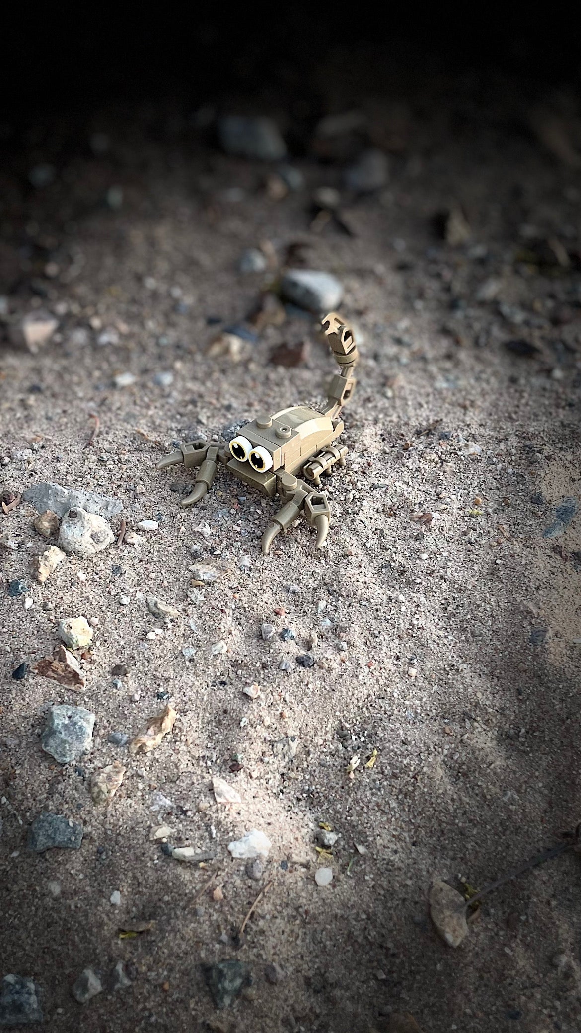 Bugs4Fun: The Scorpion