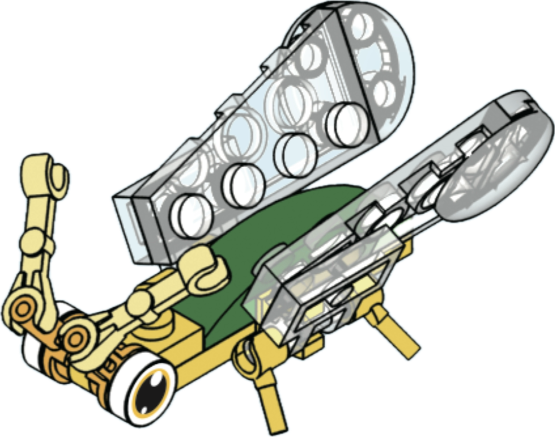 Bugs4Fun: The Lacewing