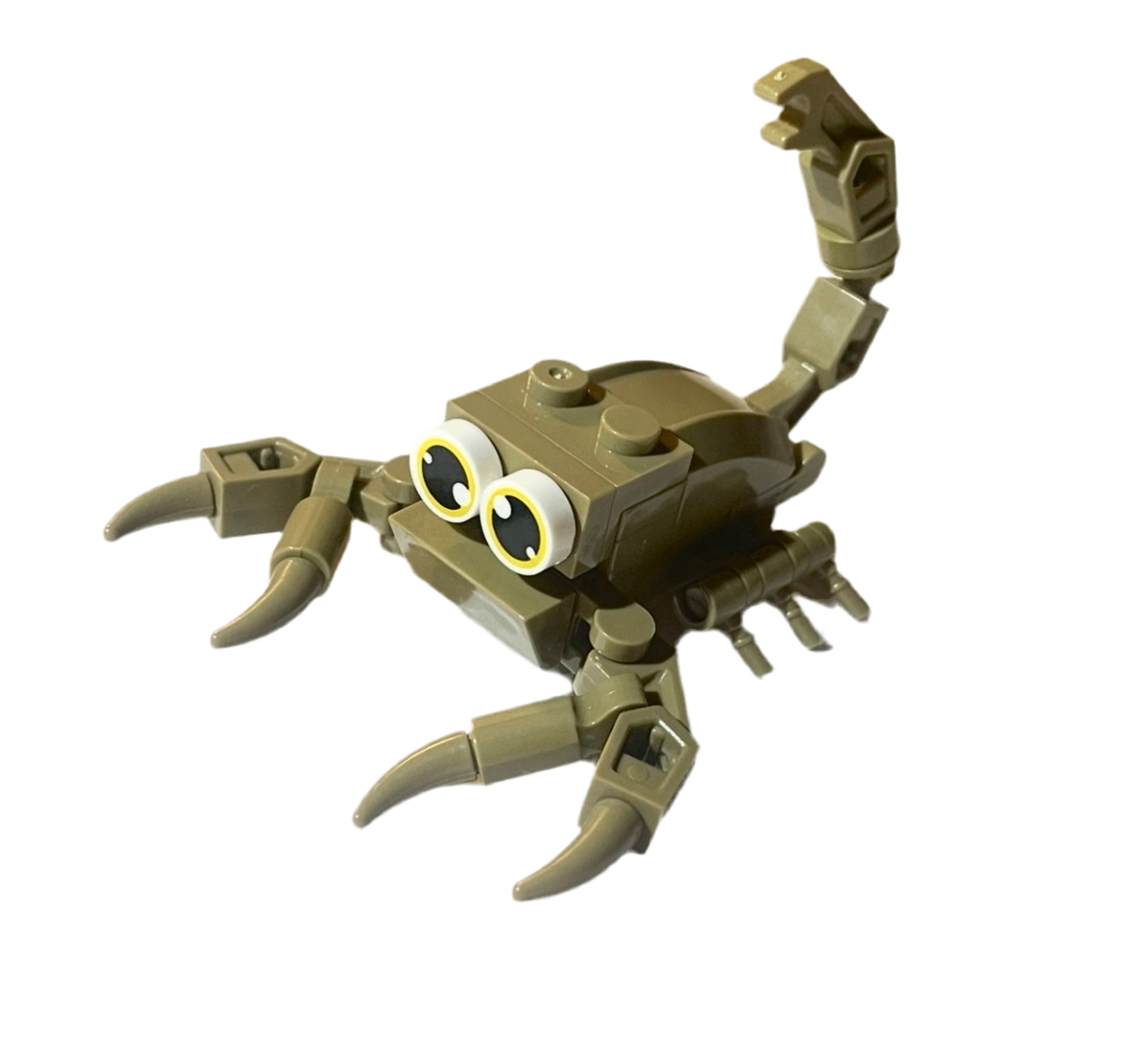 Bugs4Fun: The Scorpion