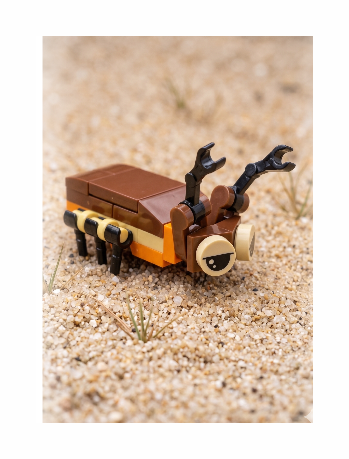 Build-A-Bug: by Bugs4Fun • Special Selection • (Random)     Mystery Pick - Insect Brick Kit
