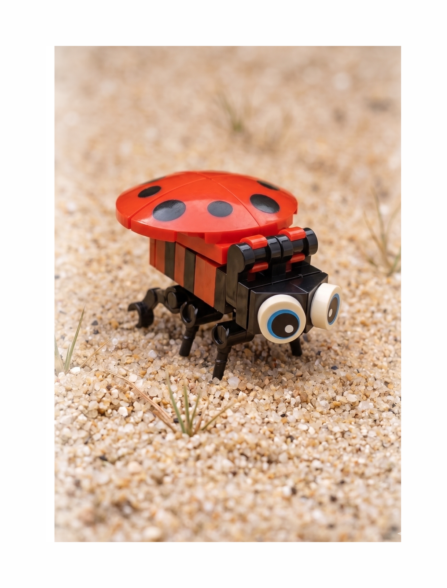 Build-A-Bug: Garden Guardians