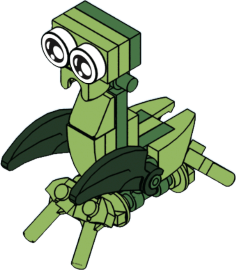 Bugs4Fun: The Praying Mantis