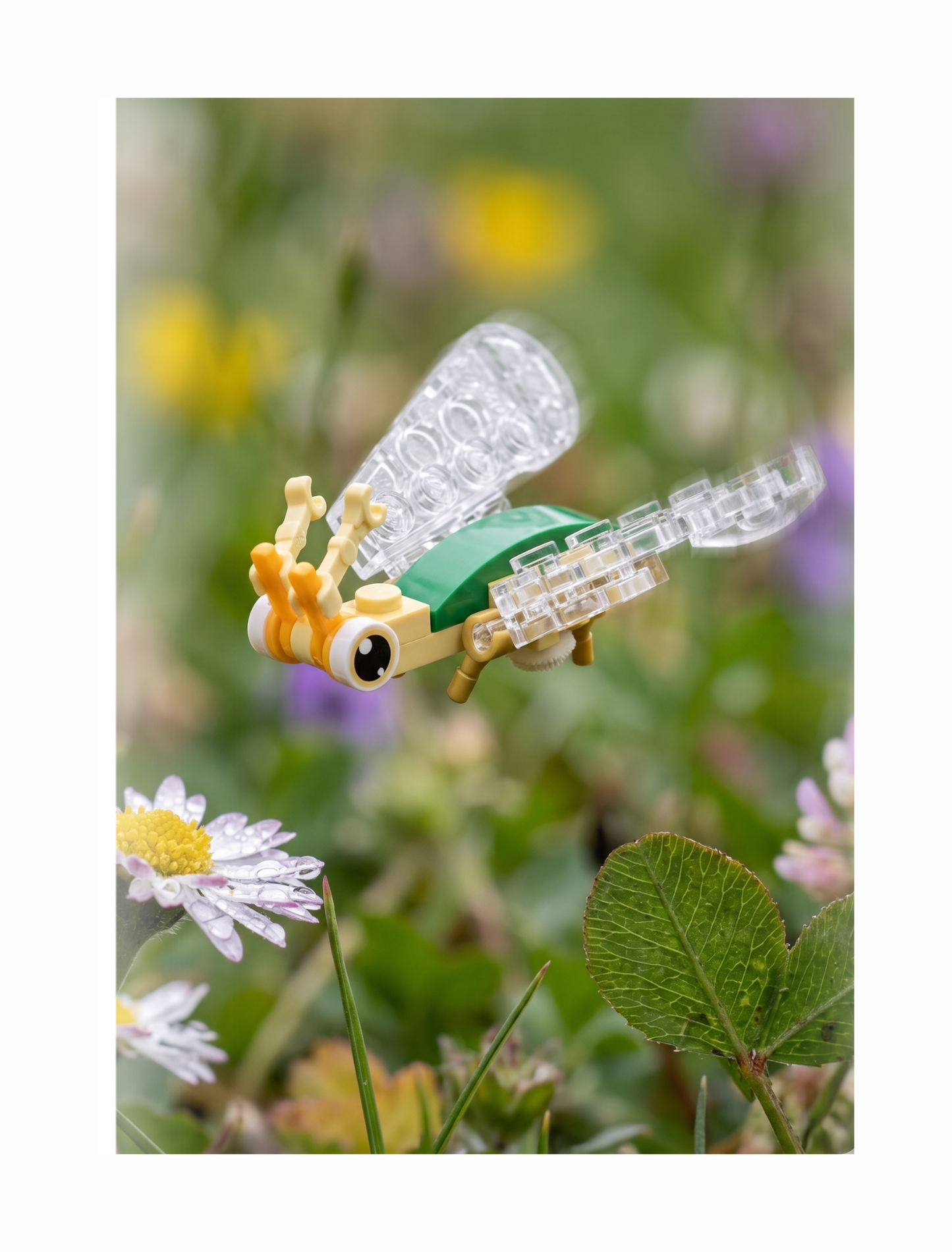 Build-A-Bug: Winged Wonders